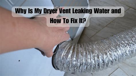 dryer vent leaking in ceiling|5 Causes of a Leaking Dryer Vent 